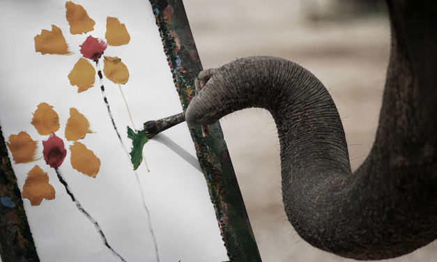 O domador de elefantes | Conto