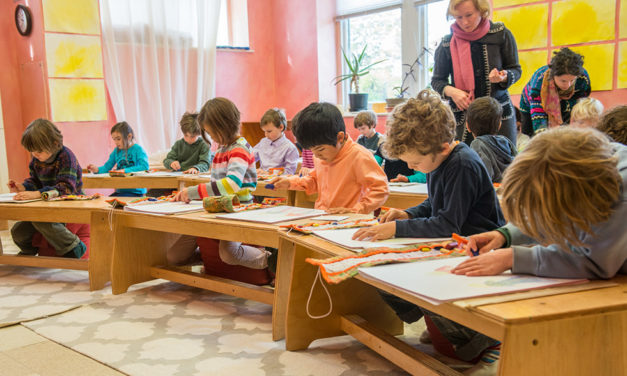 Pedagogia Waldorf | Livros para conhecer