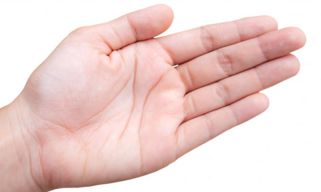 A linha do conhecimento | Conto