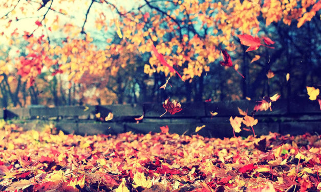 Yoga e o movimento das estações – Outono