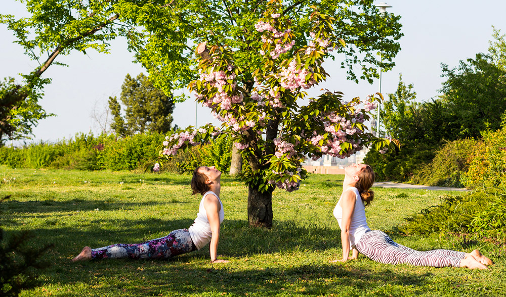Yoga e o movimento das estações – Primavera